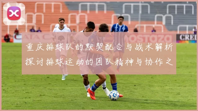 重庆排球队的默契配合与战术解析探讨排球运动的团队精神与协作之美