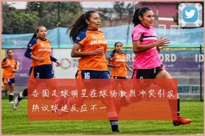 各国足球明星在球场激烈冲突引发热议球迷反应不一