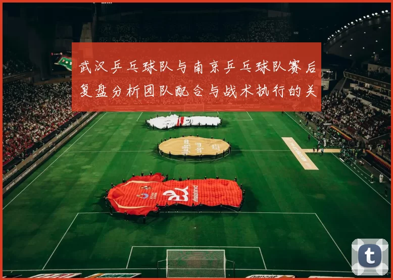 武汉乒乓球队与南京乒乓球队赛后复盘分析团队配合与战术执行的关键要素