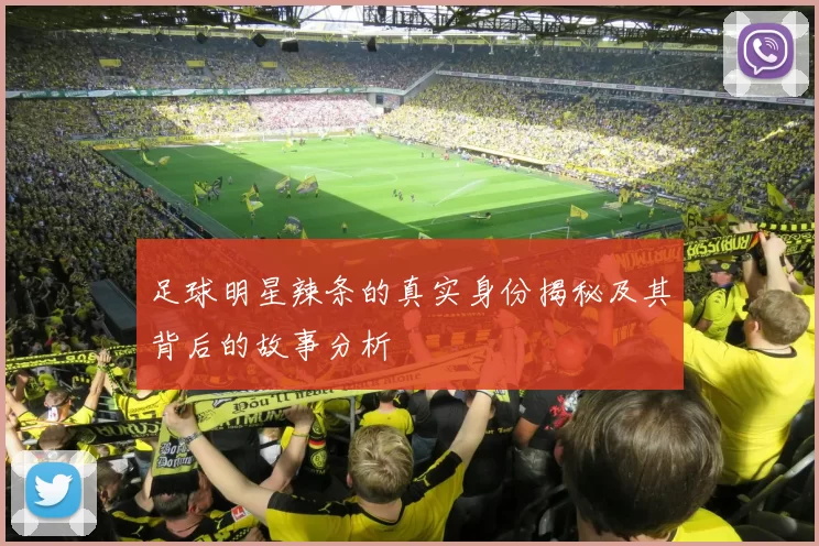 足球明星辣条的真实身份揭秘及其背后的故事分析