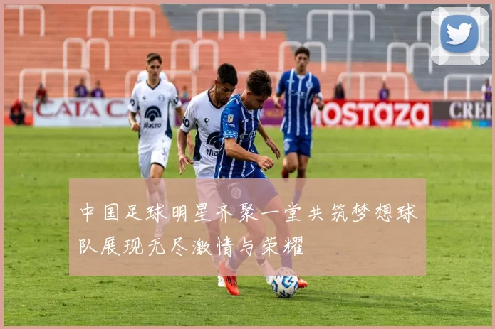 中国足球明星齐聚一堂共筑梦想球队展现无尽激情与荣耀