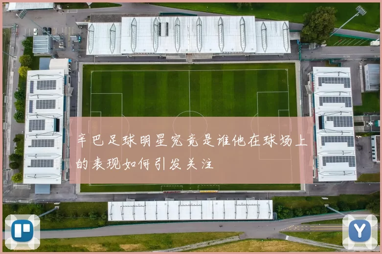 辛巴足球明星究竟是谁他在球场上的表现如何引发关注